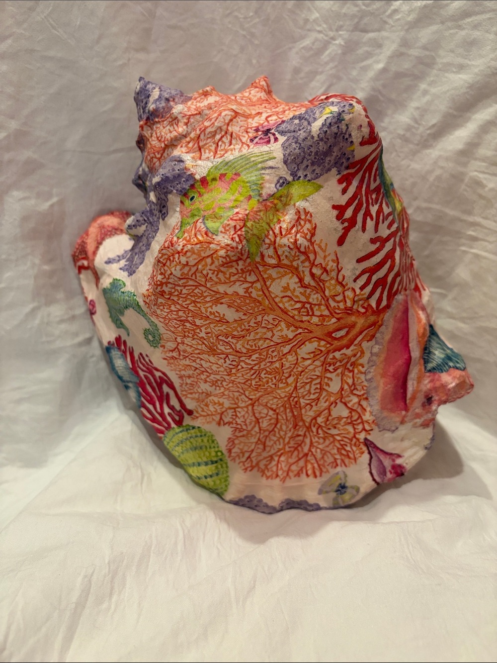 Coral Reef Conch Shell - Multicolor - Picture 2 of 5